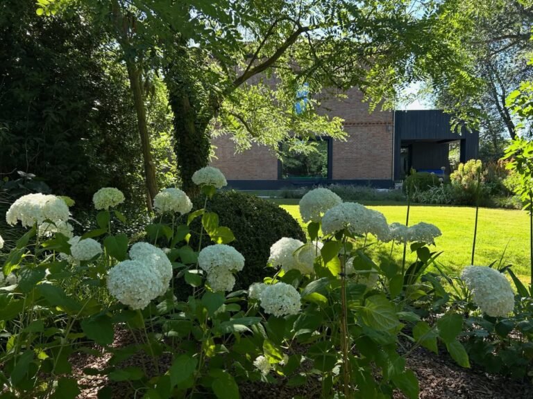 14 Low-Maintenance Garden Ideas That Still Look Stunning